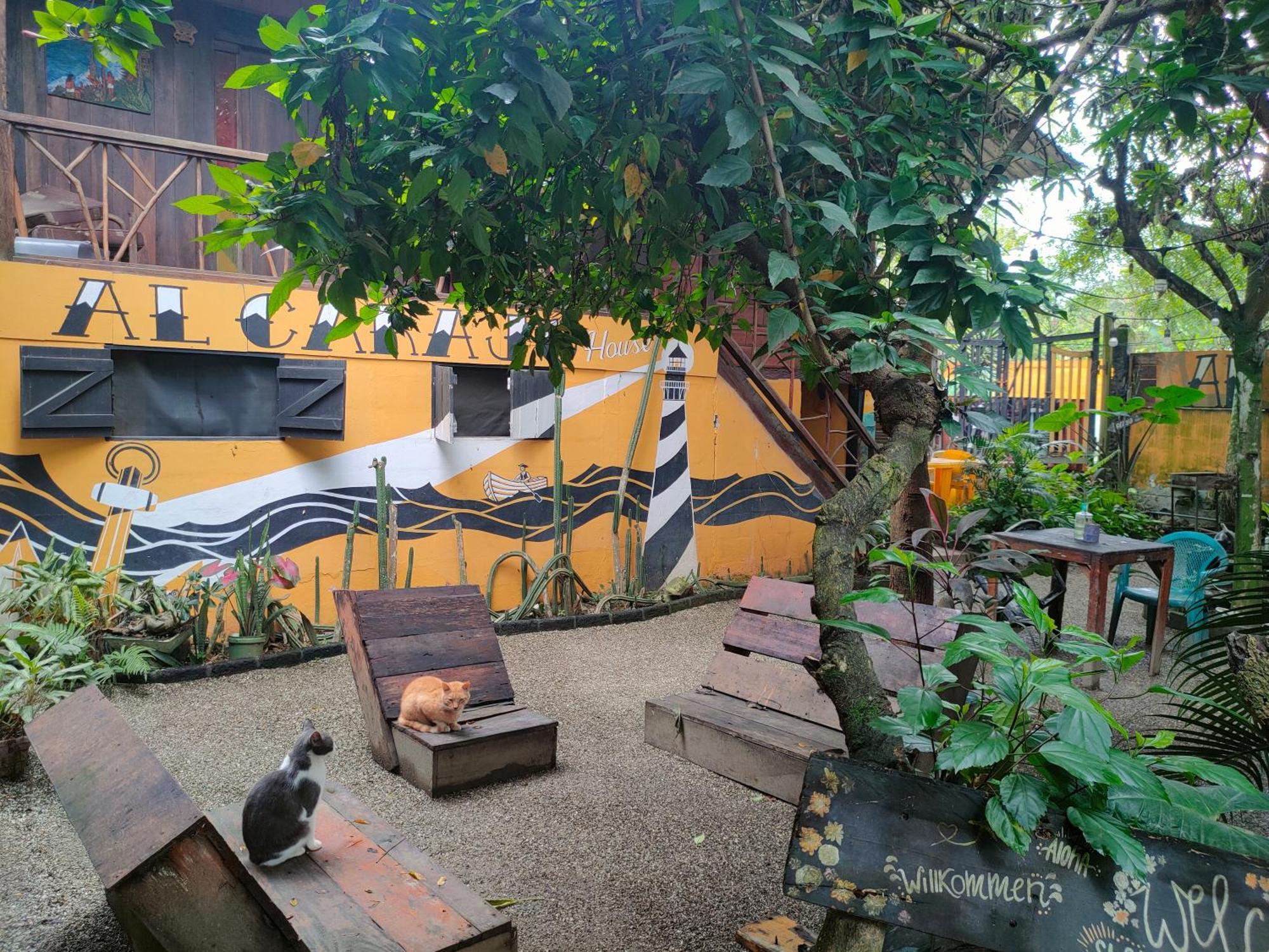 Al Carajo House Backpackers Host Hostel Montanita Exterior photo